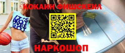 стаф Гатчина