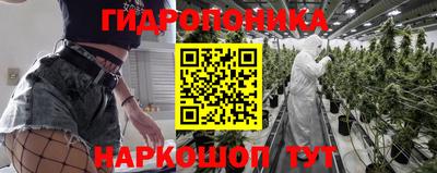 стаф Гатчина