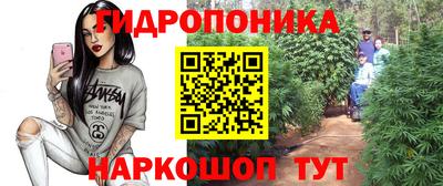 стаф Гатчина