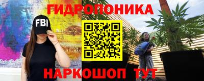 стаф Гатчина