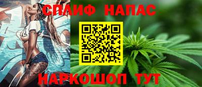 стаф Гатчина