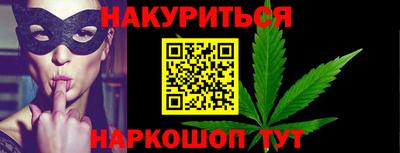 стаф Гатчина
