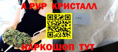 стаф Гатчина