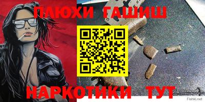 стаф Гатчина