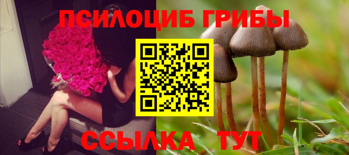 Псилоцибиновые грибы мухоморы  Вход с VPN  Новоалтайск 