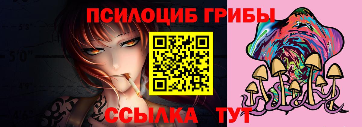 Псилоцибиновые грибы MAGIC MUSHROOMS Новоалтайск
