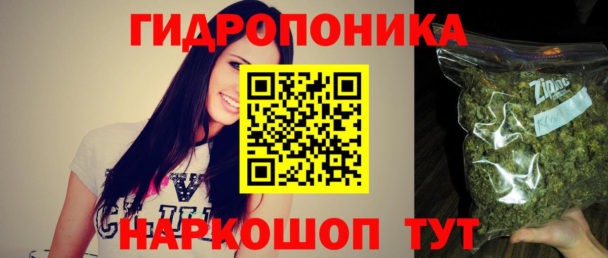 Канабис семена Новоалтайск